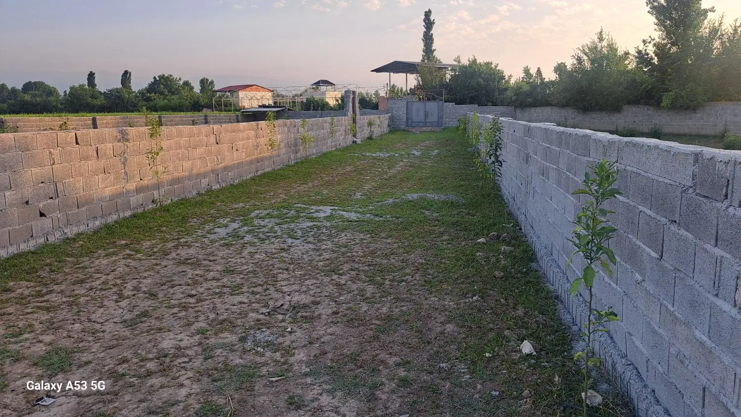 زمین باغی