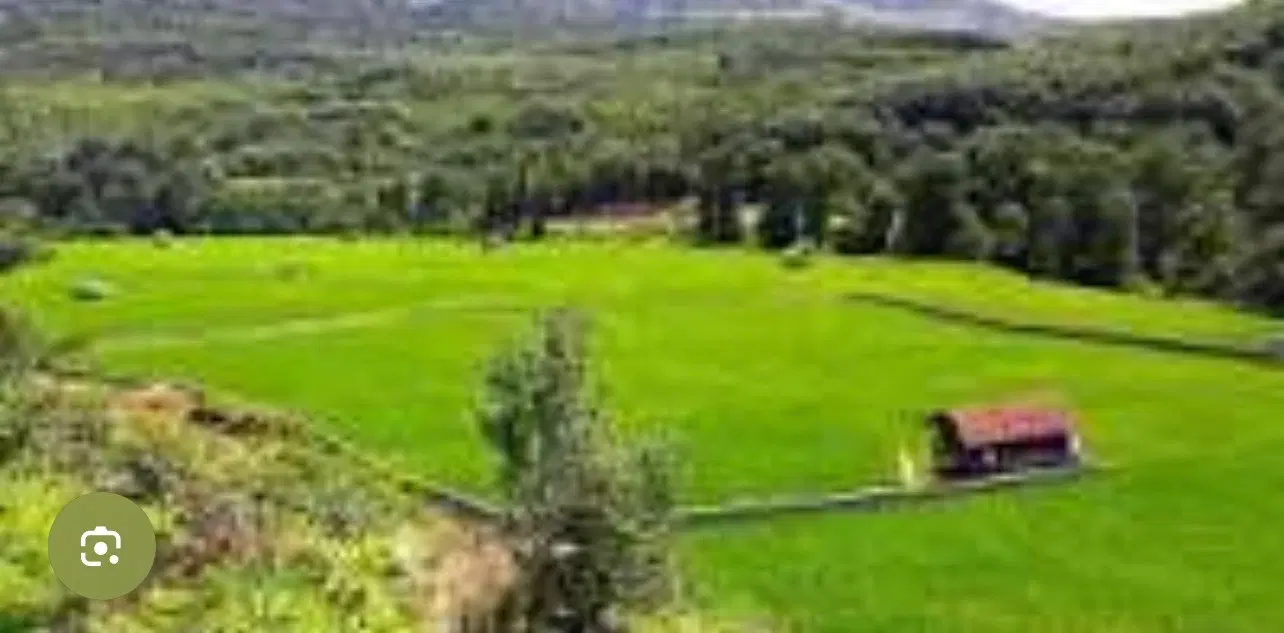 زمین عباس آباد با امکانات خودش