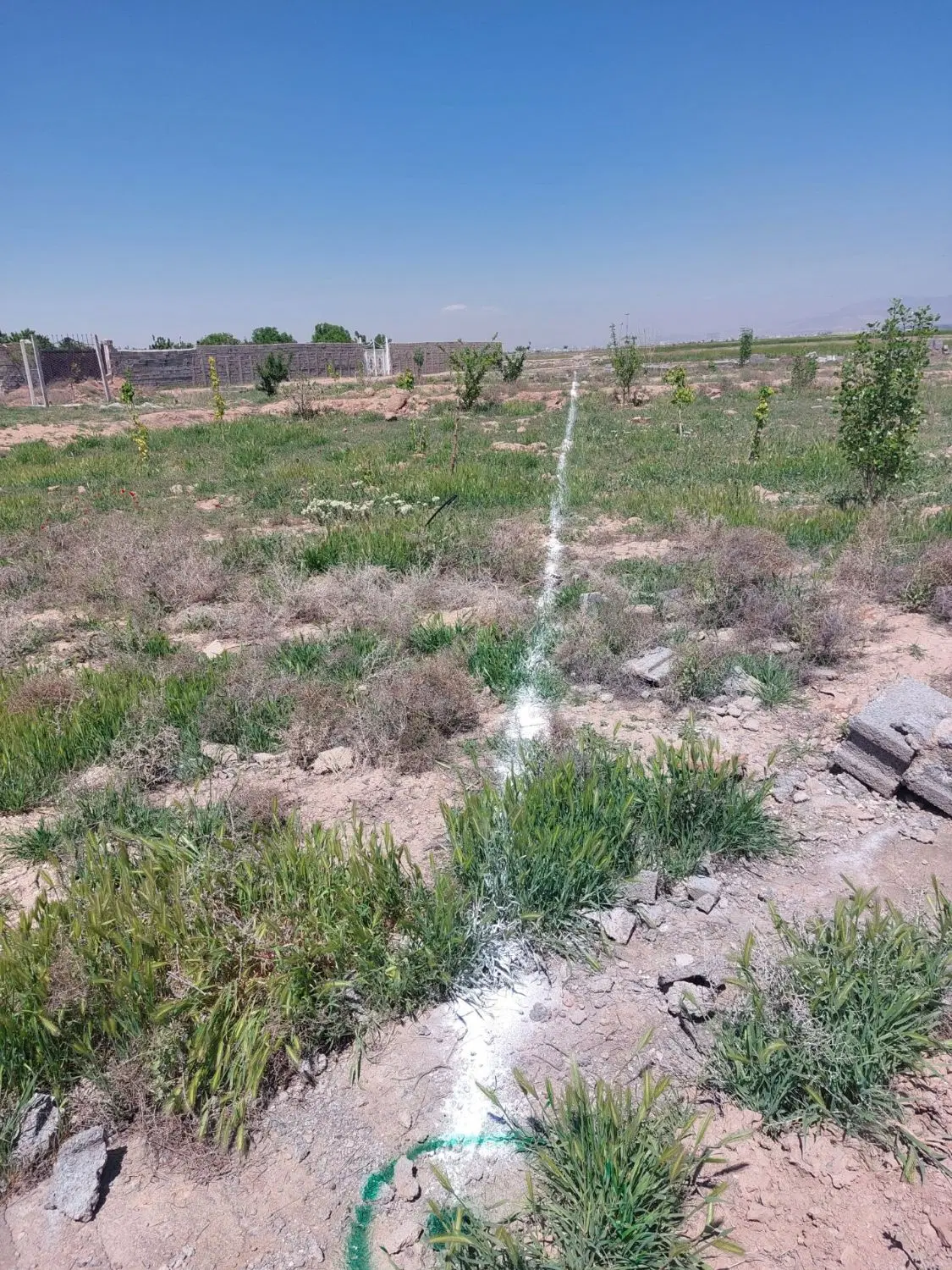 زمین سنددار  خوش بالا