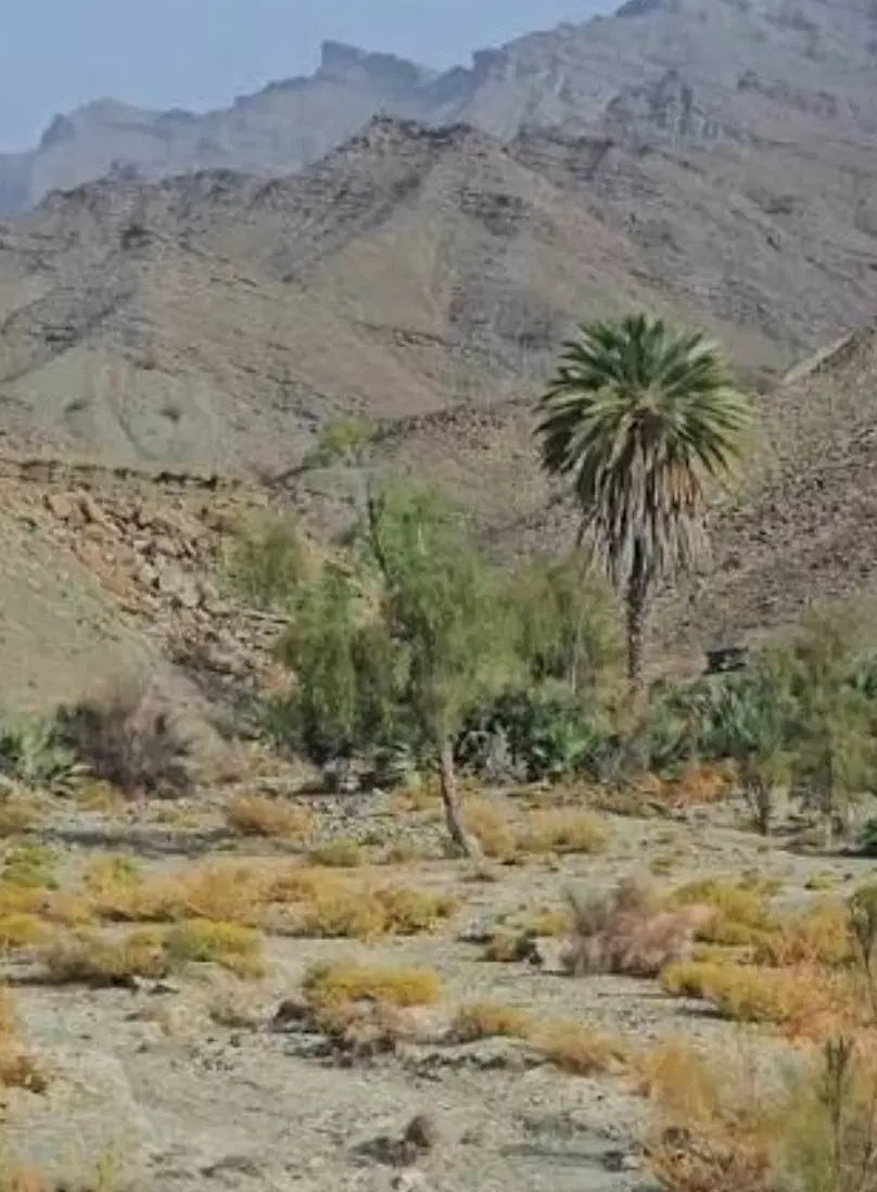 زمین فروشی