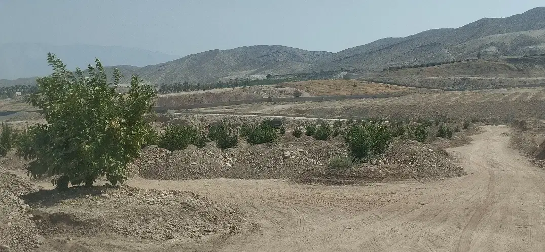 باغچه باغ مقصودآباد جهرم