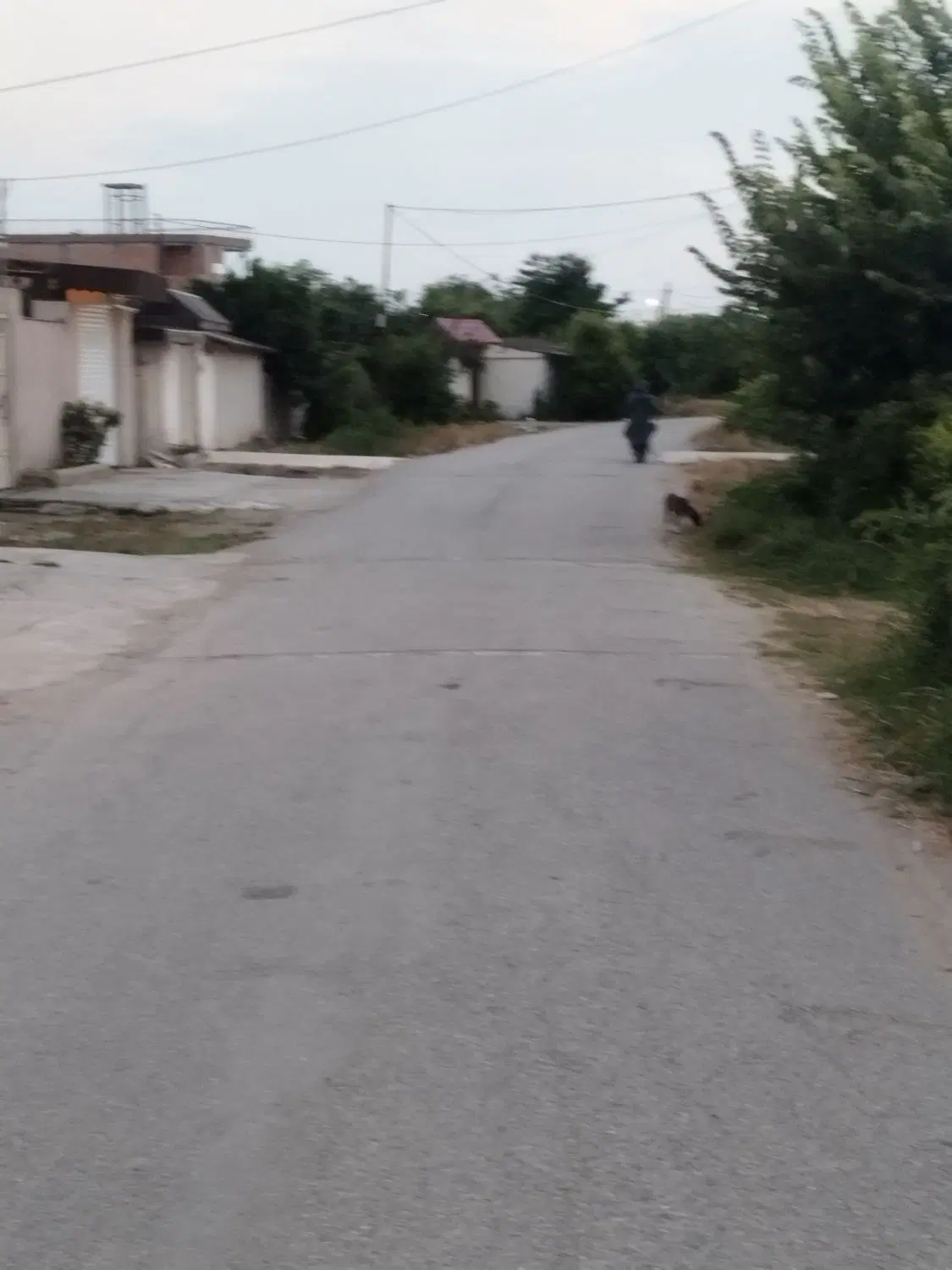 ۲۰۰مترملک از بافت مسکونی روستایی حوالی ساحل