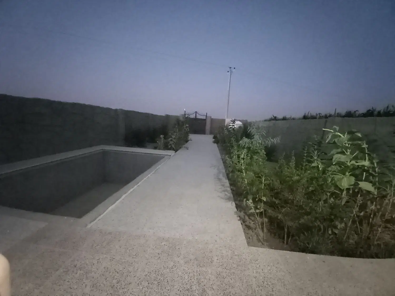 باغ