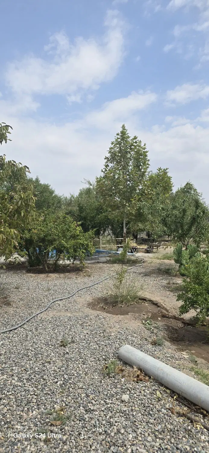 خانه باغ ۱۱۵قصب