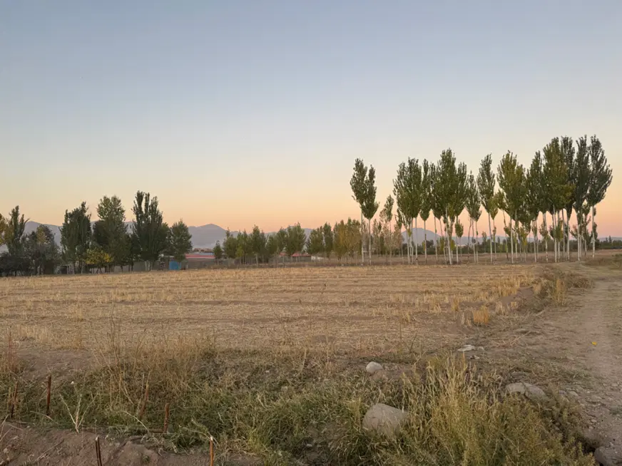 فروش زمین ۳۶۷۰ متری هوجقان