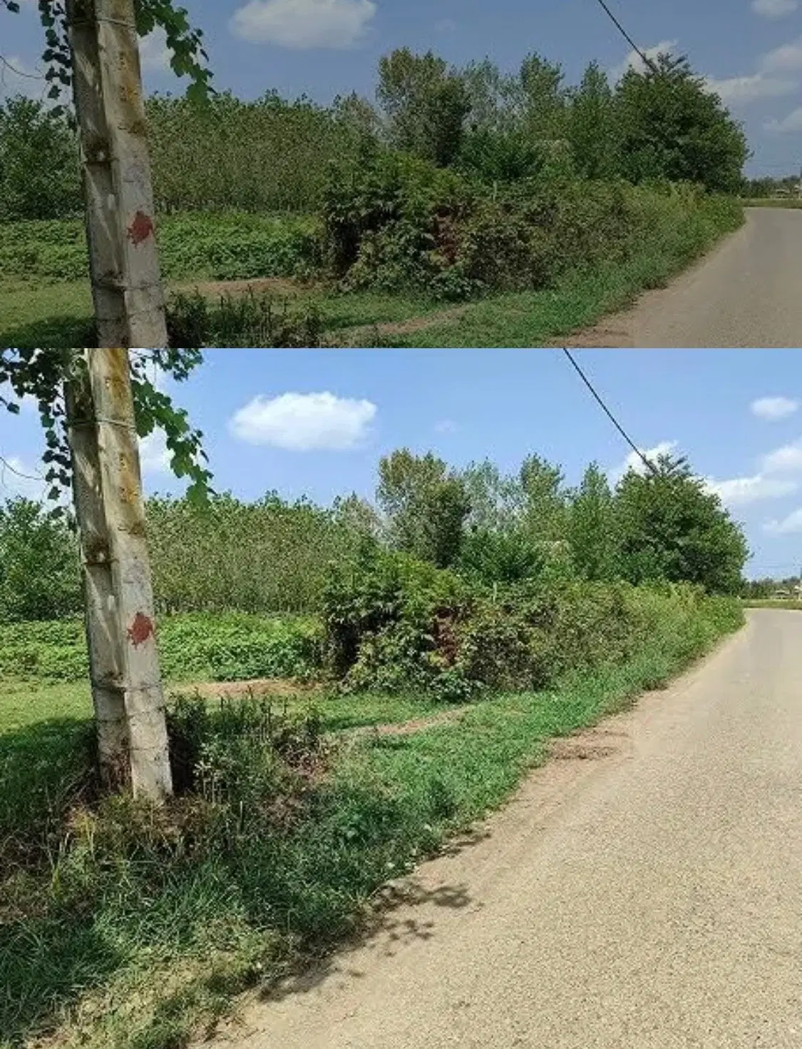 ۴۵۰متر زمین طراز کوه
