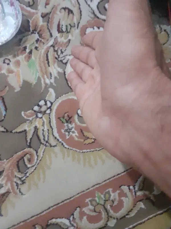 همخونه میشم