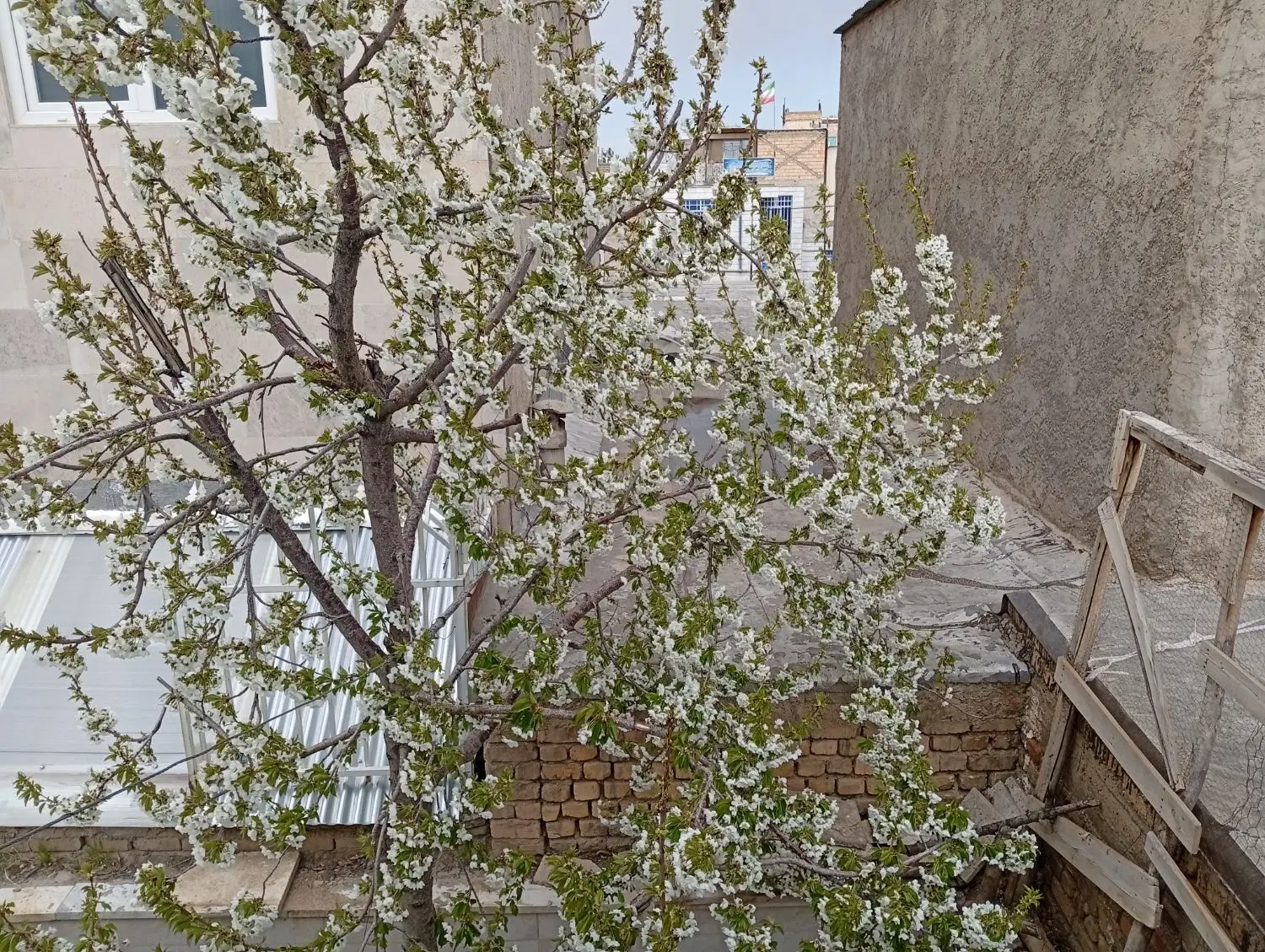 خانه اجاره ای