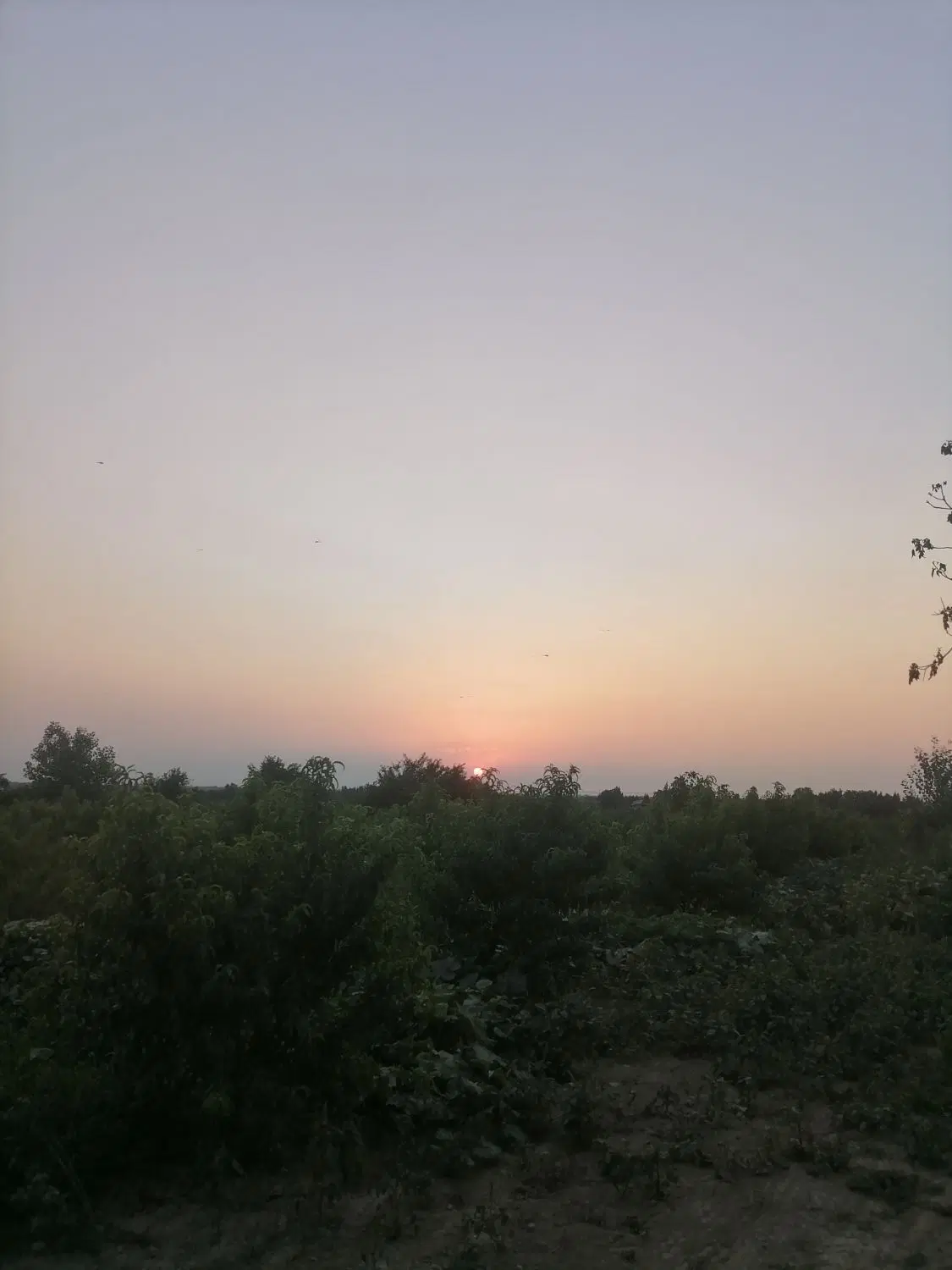 زمین بحر جاده