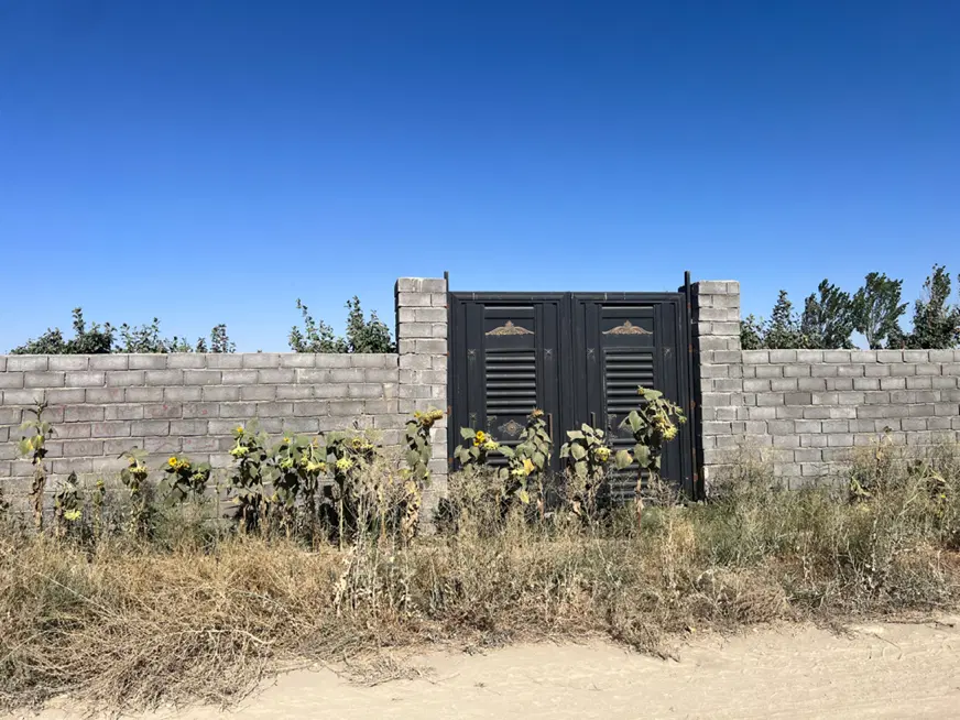 باغ سرسبز با درختان بزرگ پرمیوه ده ساله