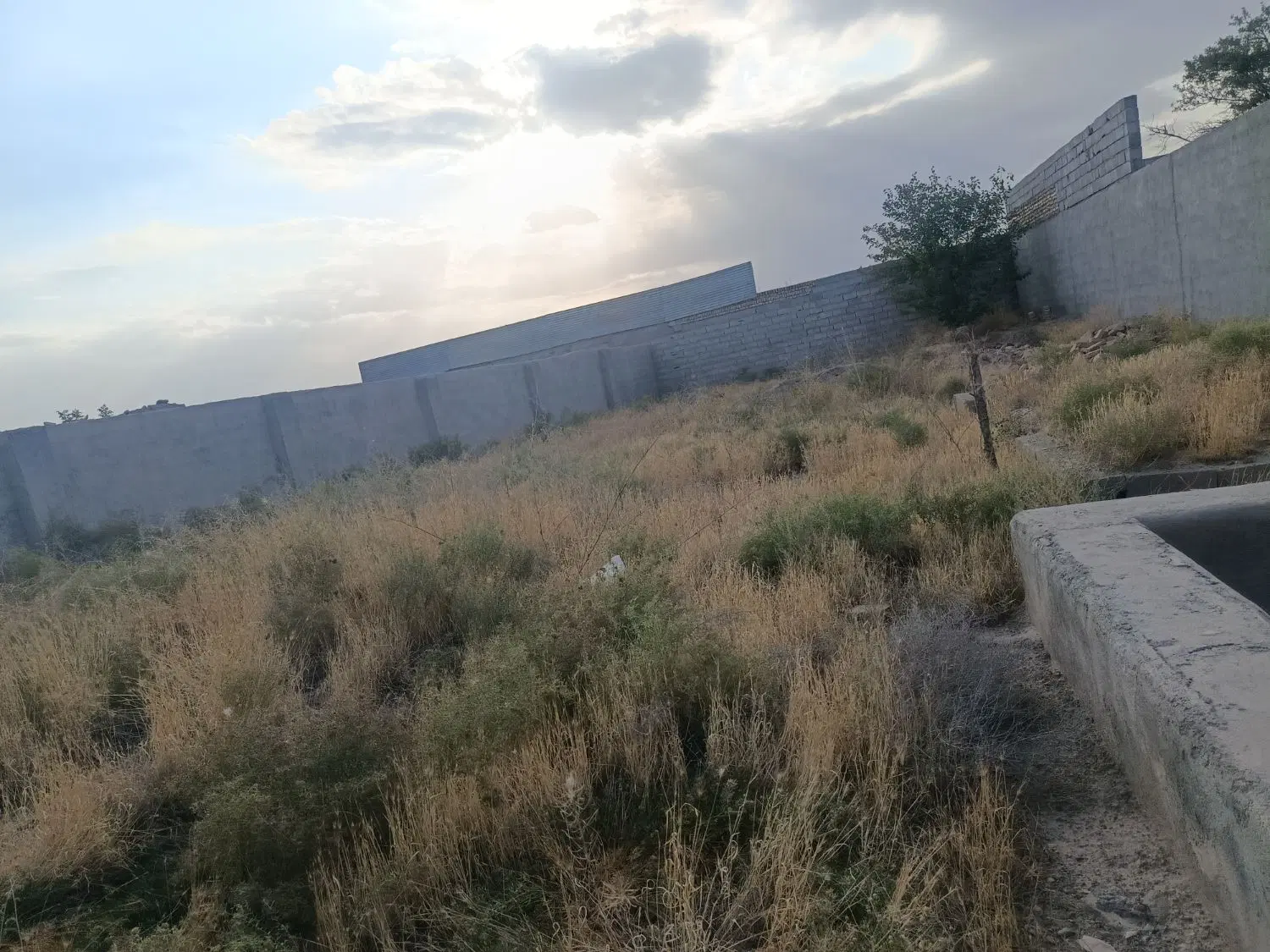 دور دیوار کلاکوب سجاد 12 داخل بافت