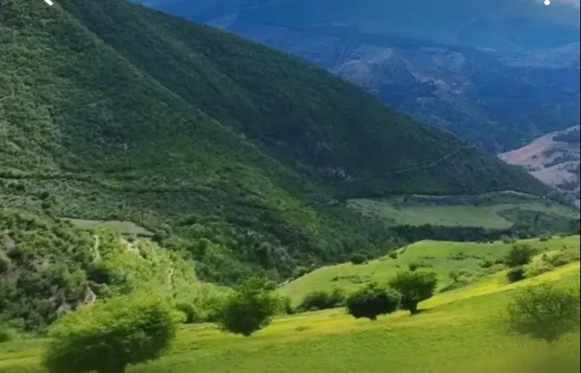 فروش زمینی مسکونی داخل بافت، سندار