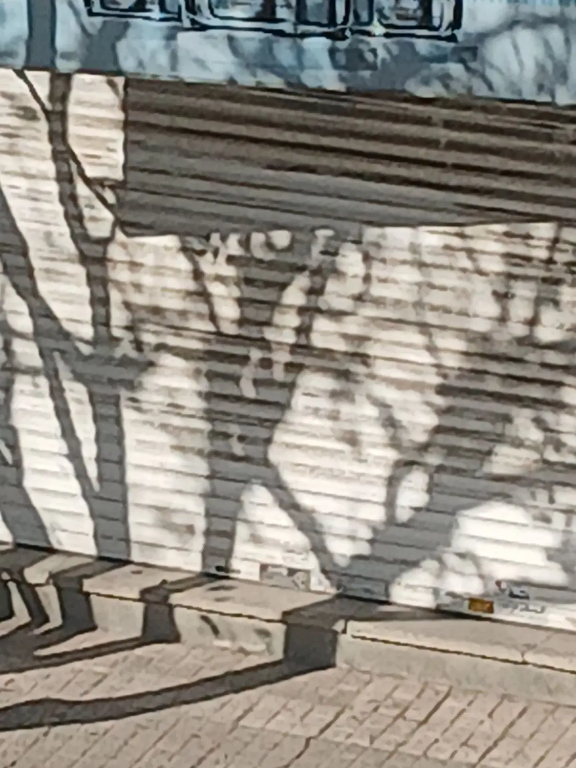 اجاره انباری ۱۵ متر