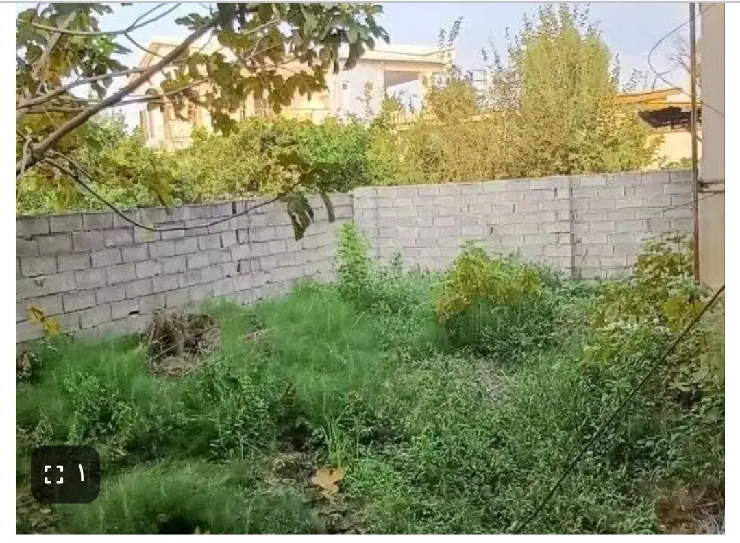باغ