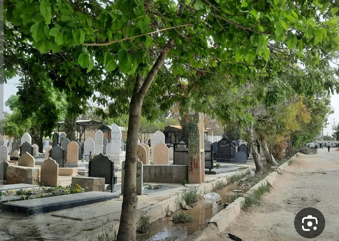 زمین در دالرحمه شیراز خیابان گلزار