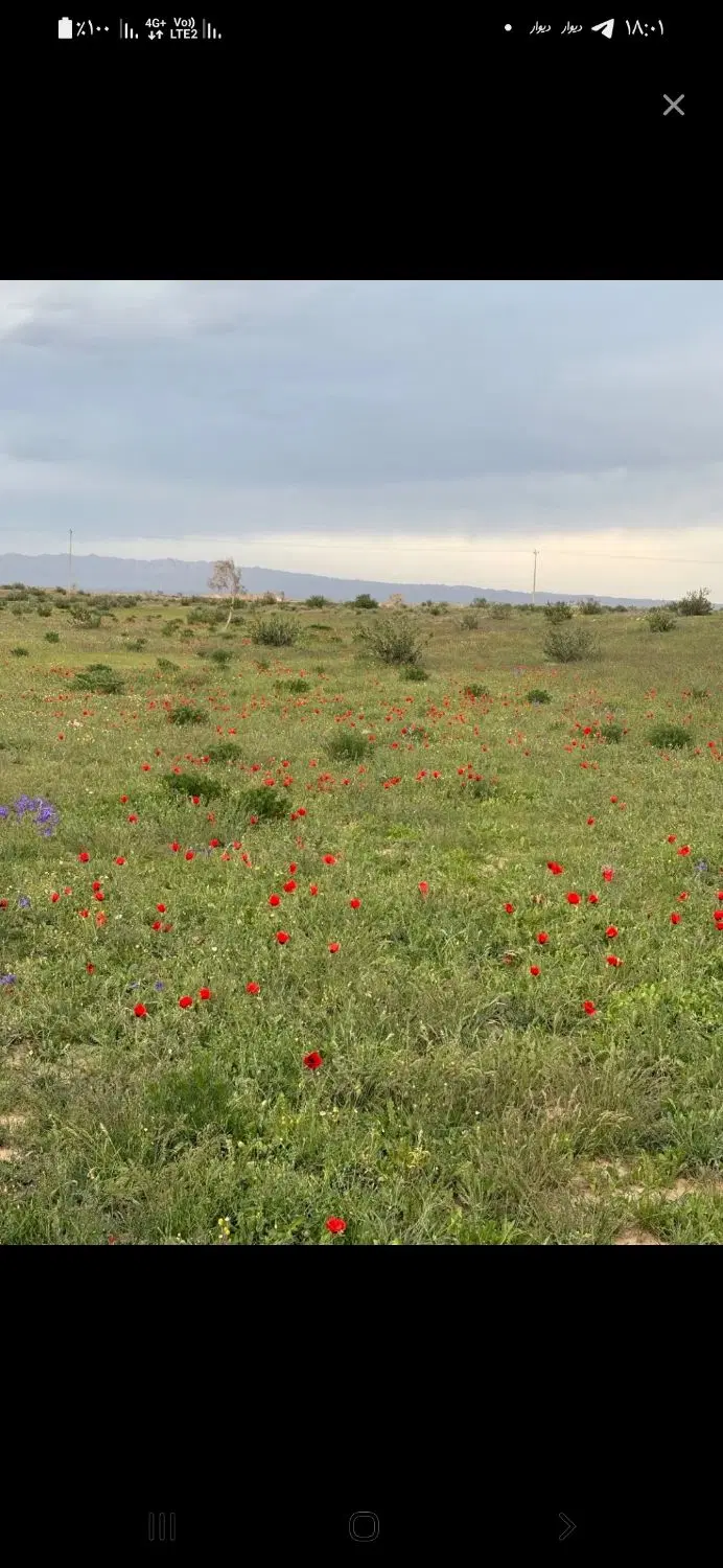 مسکن ملی مالکین