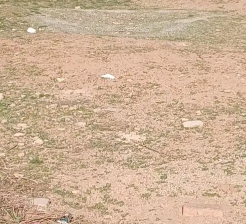 زمین قبر سهیلی