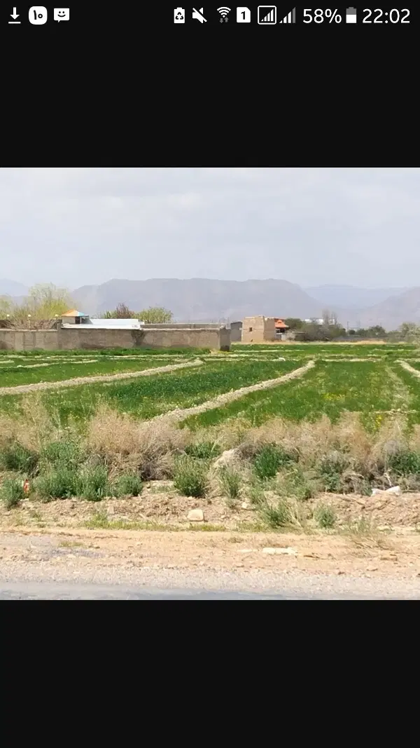 زمین کشاورزی