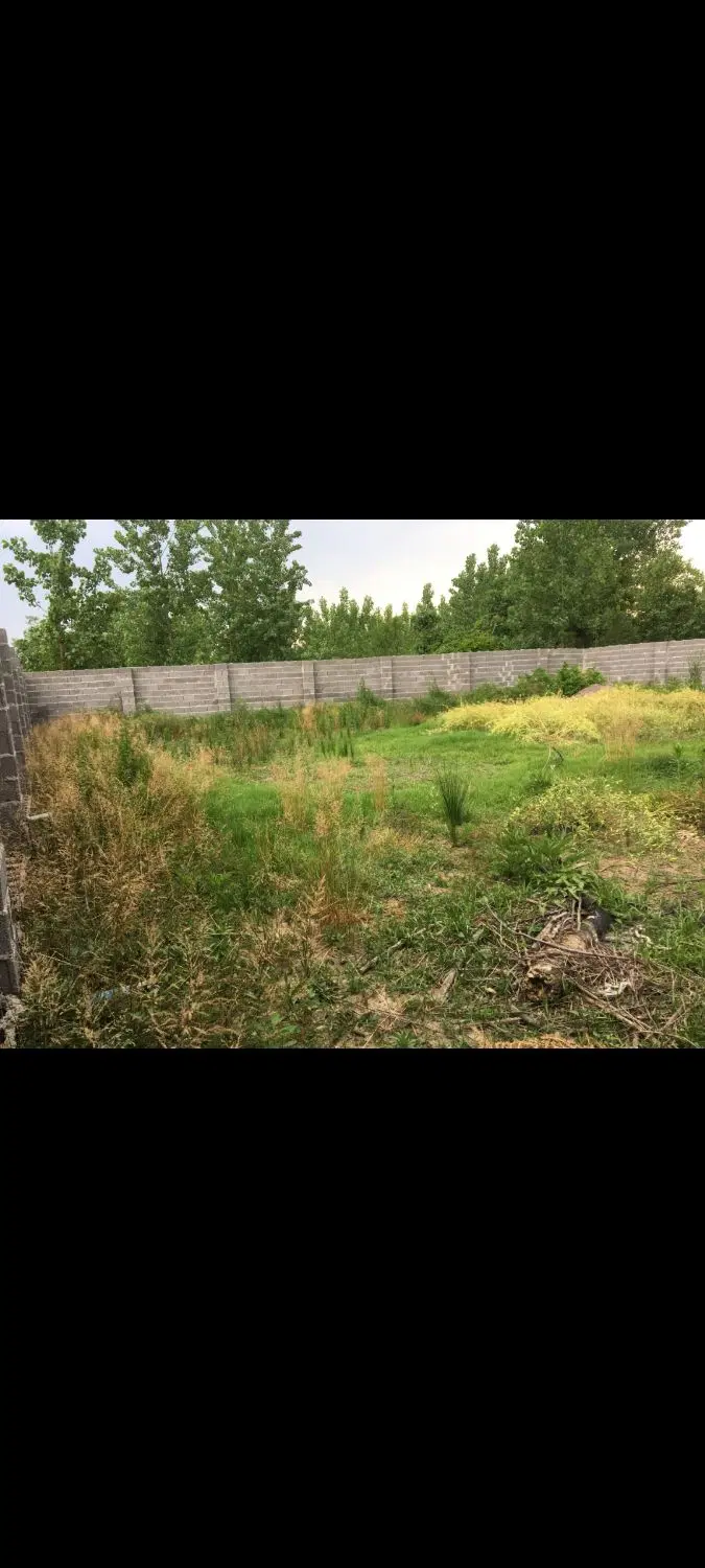 زمین فروشی ۵۰۰ متر صومعه سرا