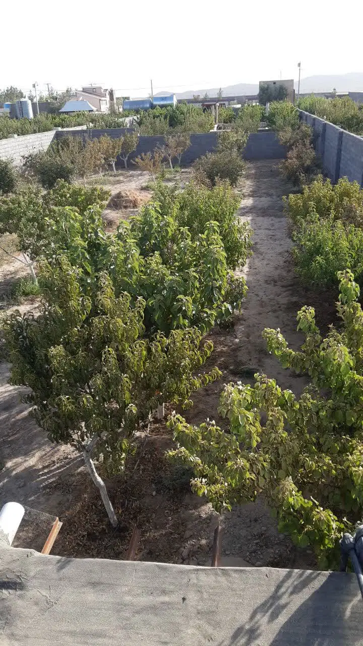 باغ درشیر حصار مجتمع سازمان آب