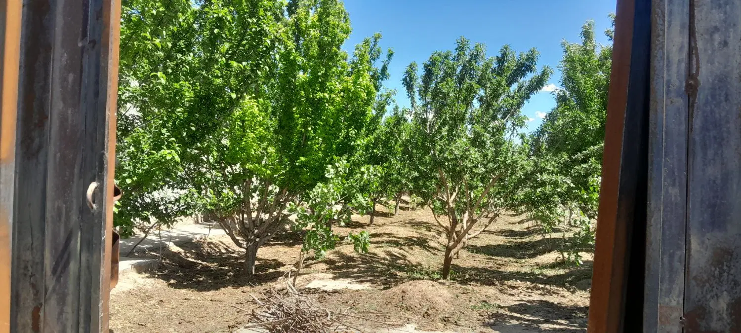 باغ ویلایی