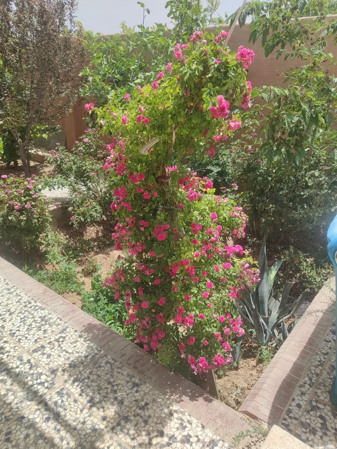 باغ فروشی