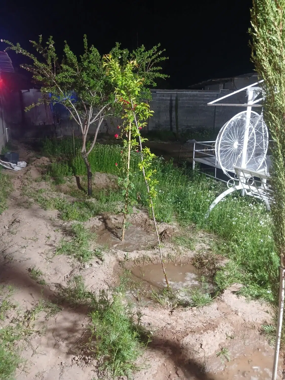 فروش باغچه در حسن آباد هماشهر