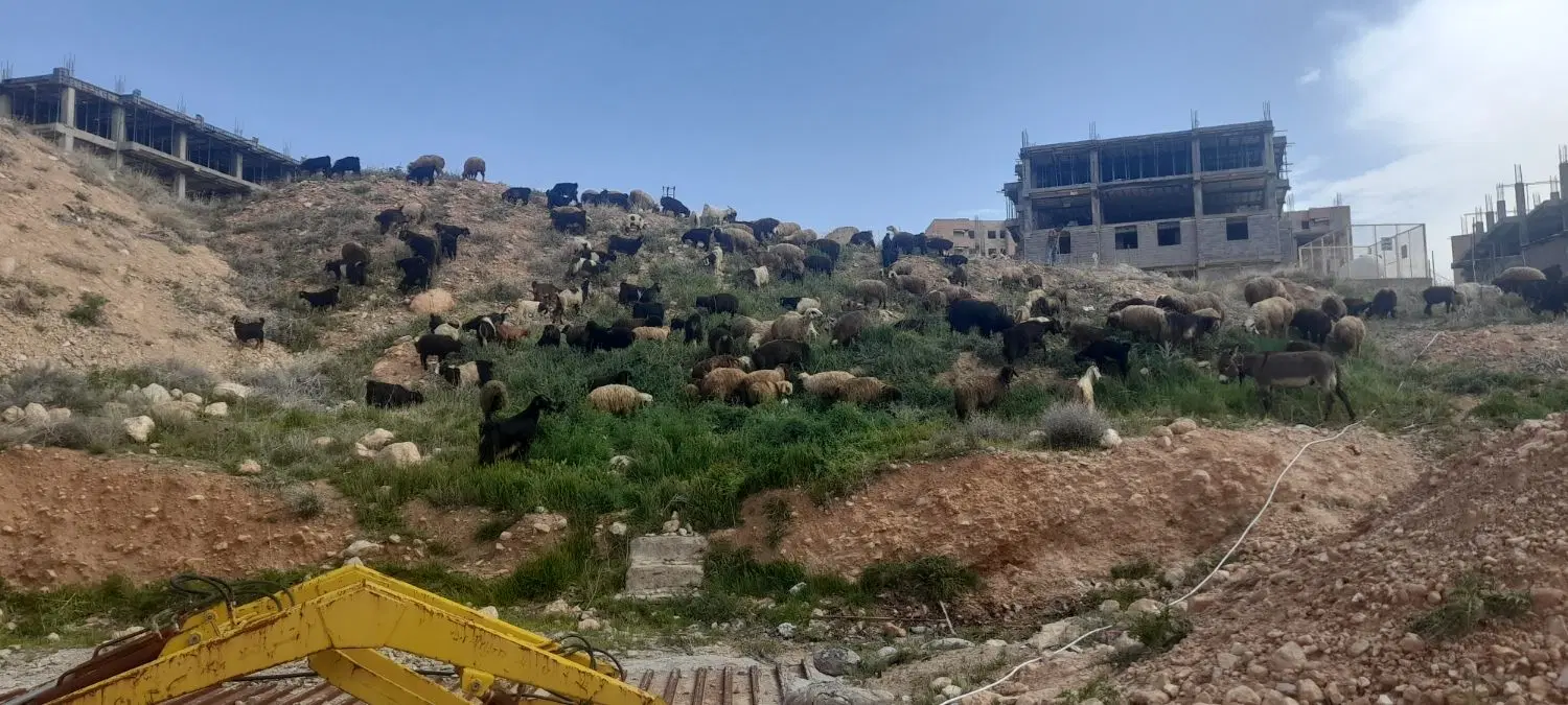 آپارتمان خورشید صدرا ۱ جنوبی تکمیل