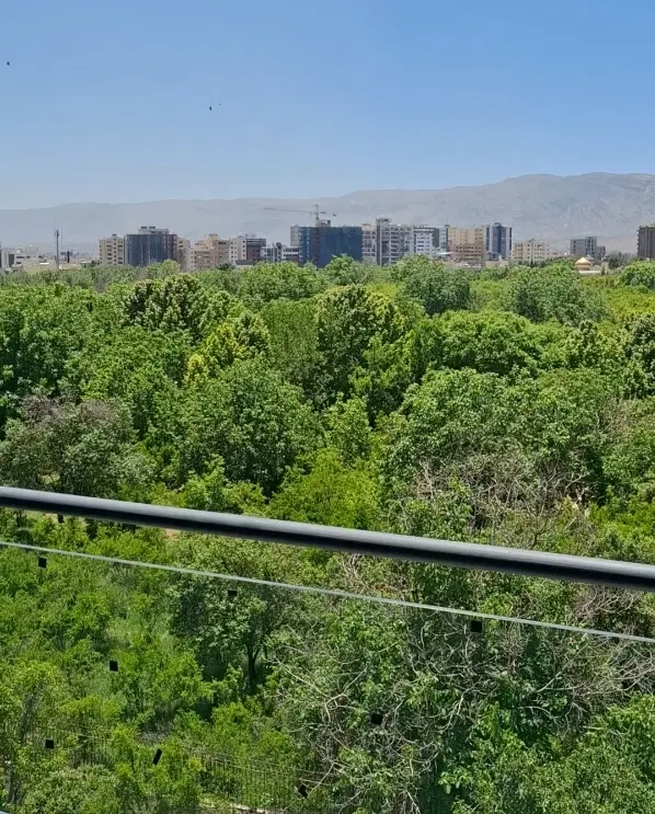 فروش زمین ۳۳۵ متری بلوار طلاییه
