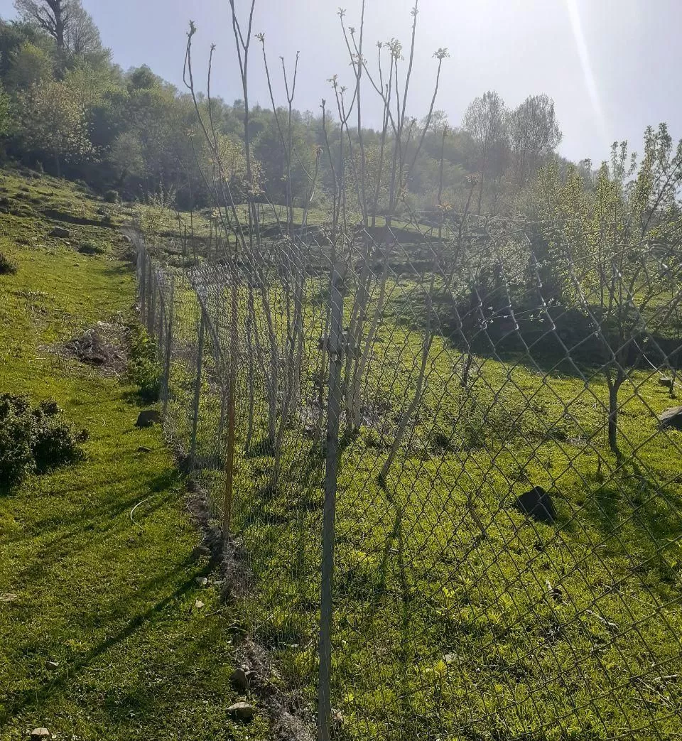 فروش زمین ۳۴۰ متری نجارکلا چلاو جاده فیلبند