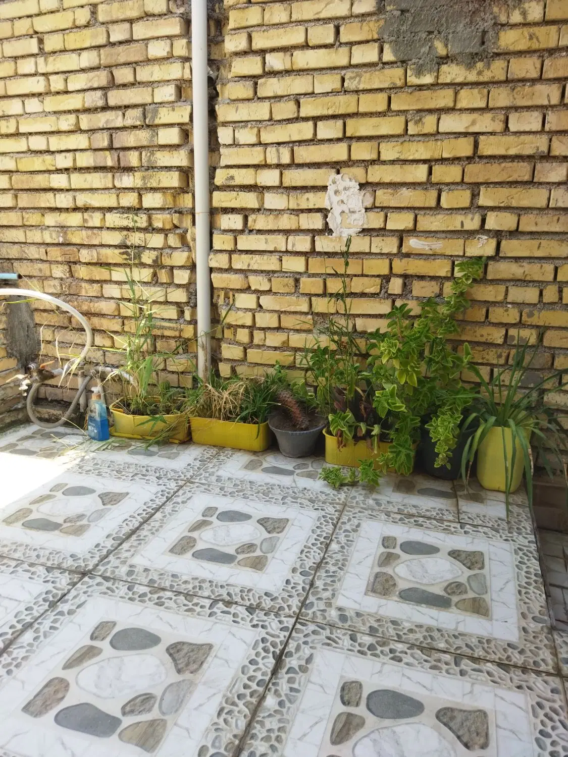 زمین محله امید