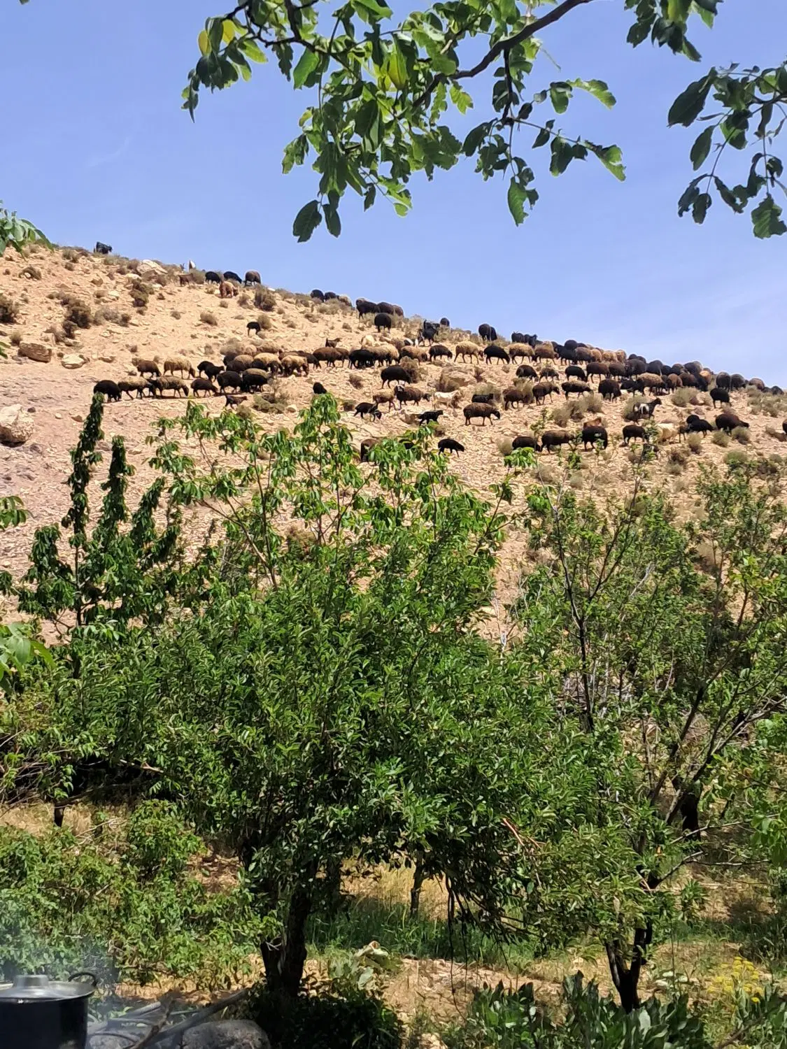 زمین فروشی