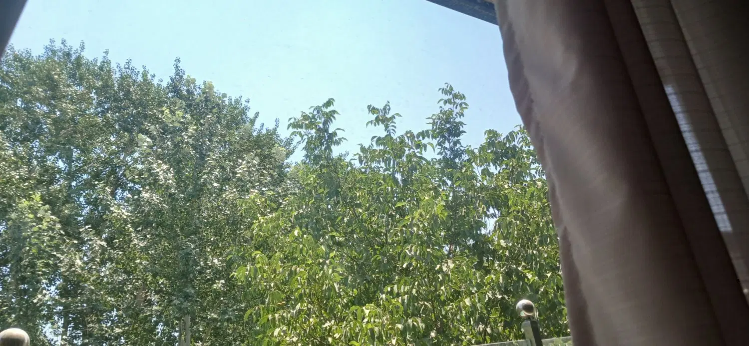 ۳۲۰ متر سند تکبرگ کاسبی