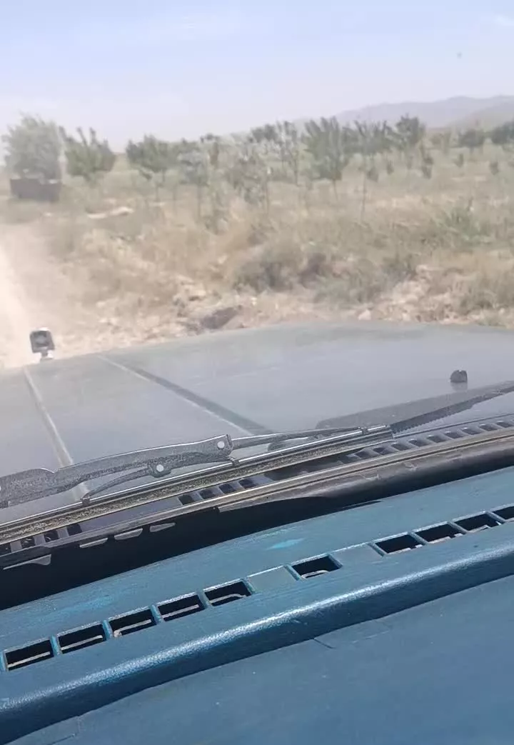 زمین باغی کوهمال