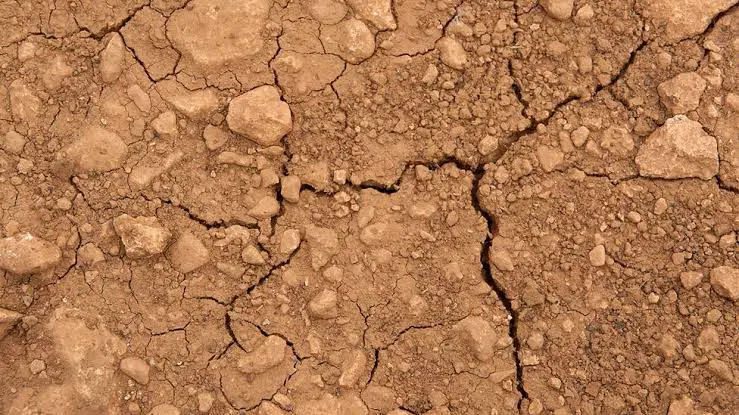 زمین  فروشی اباده شیراز