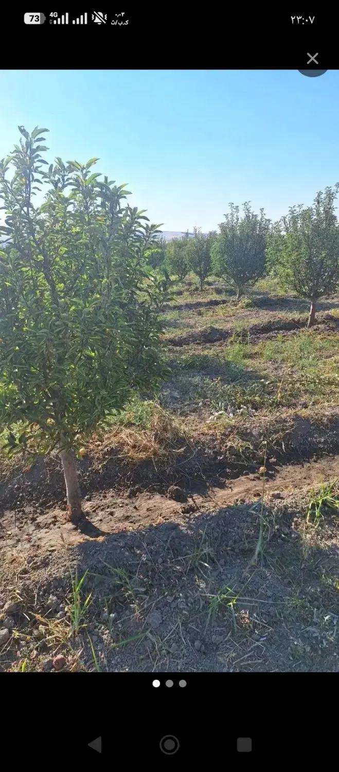 روستای برگشاد