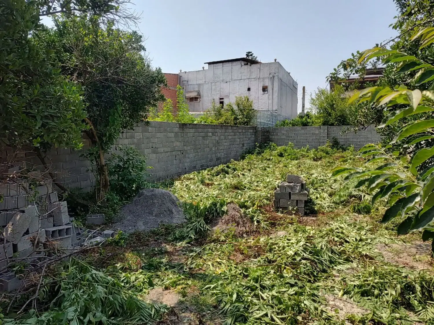 فروش زمین در قائمشهر (فوری)