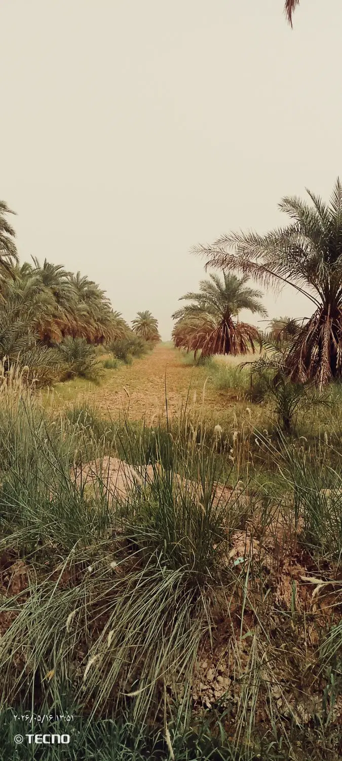 جاده اهواز آبادان روستای ام الحجار