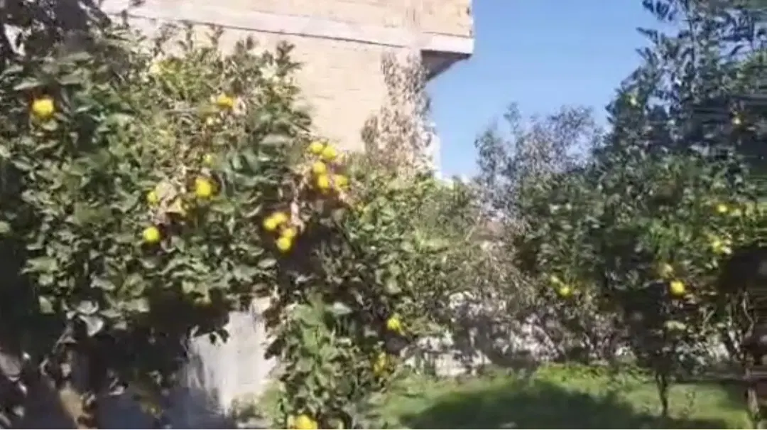 زمین ۳۰۸ متری روستای جعفرآباد سند تکبرگ مسکونی
