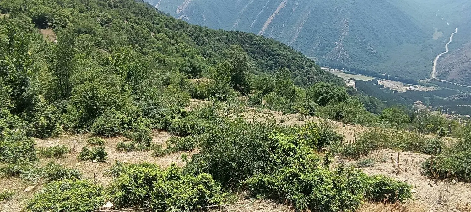 زمین روستای ییلاقی نرسو