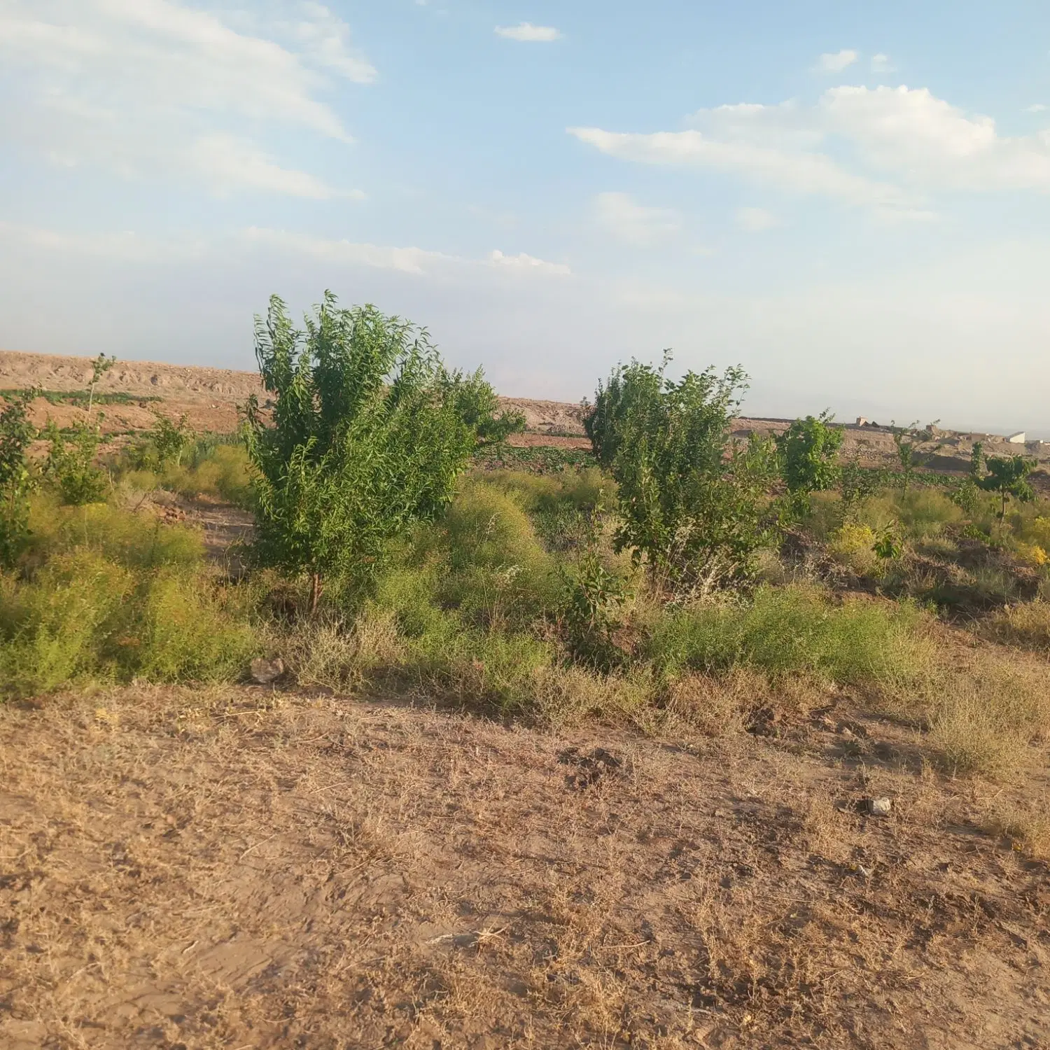فروش زمین در ده یاسایی