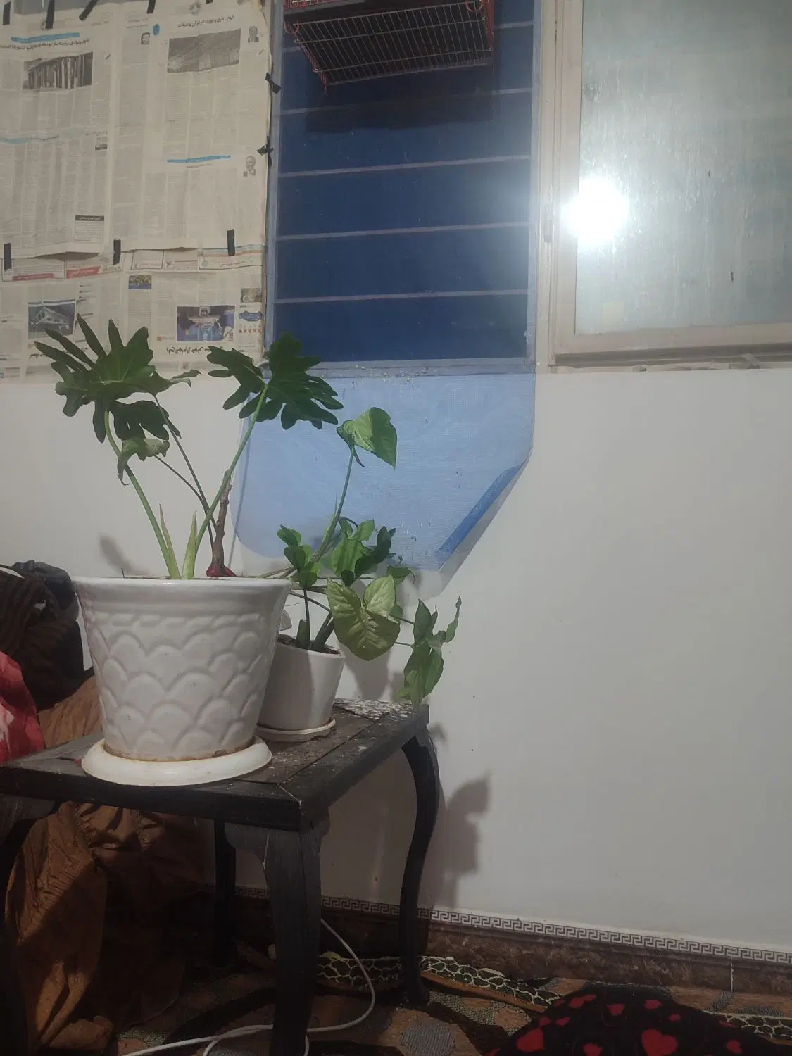 رهن و اجاره طبقه بالا