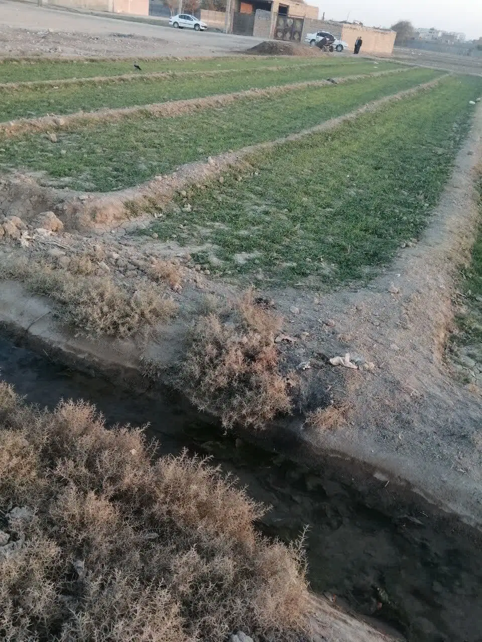 زمین کشاورزی