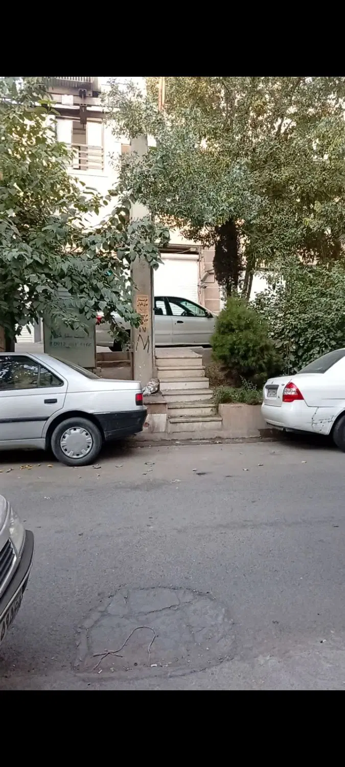 فروش یک زیر زمین حیاط دار نوردار