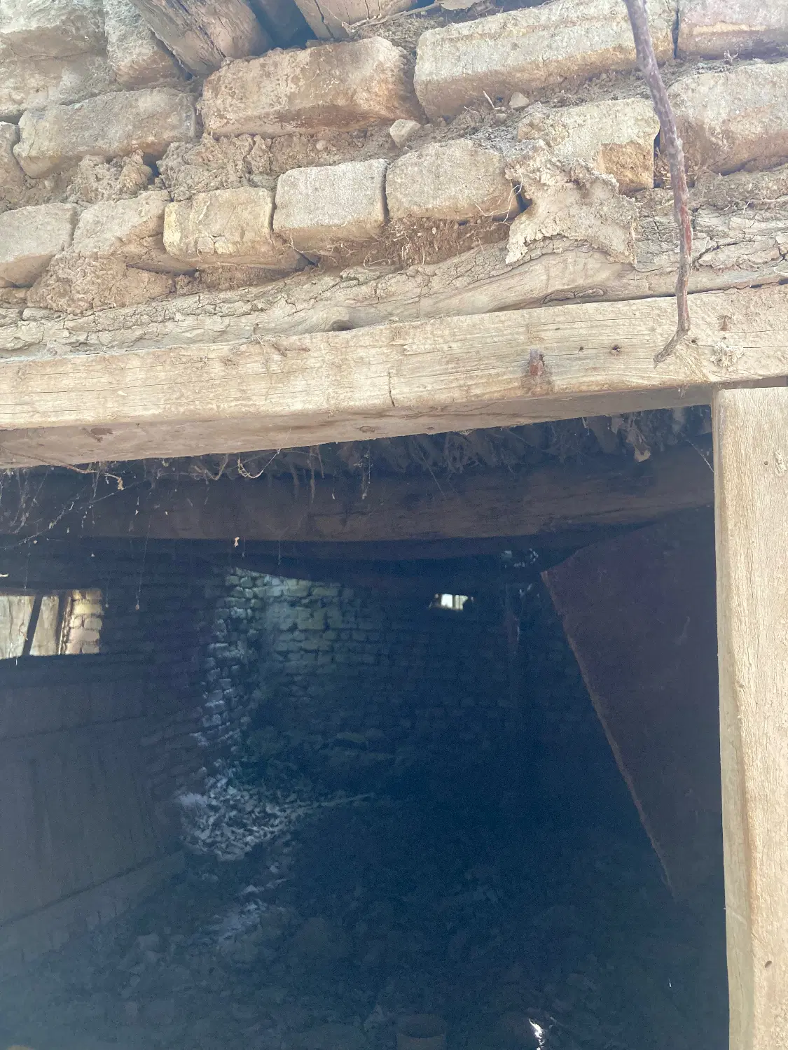 باغ دهبالا