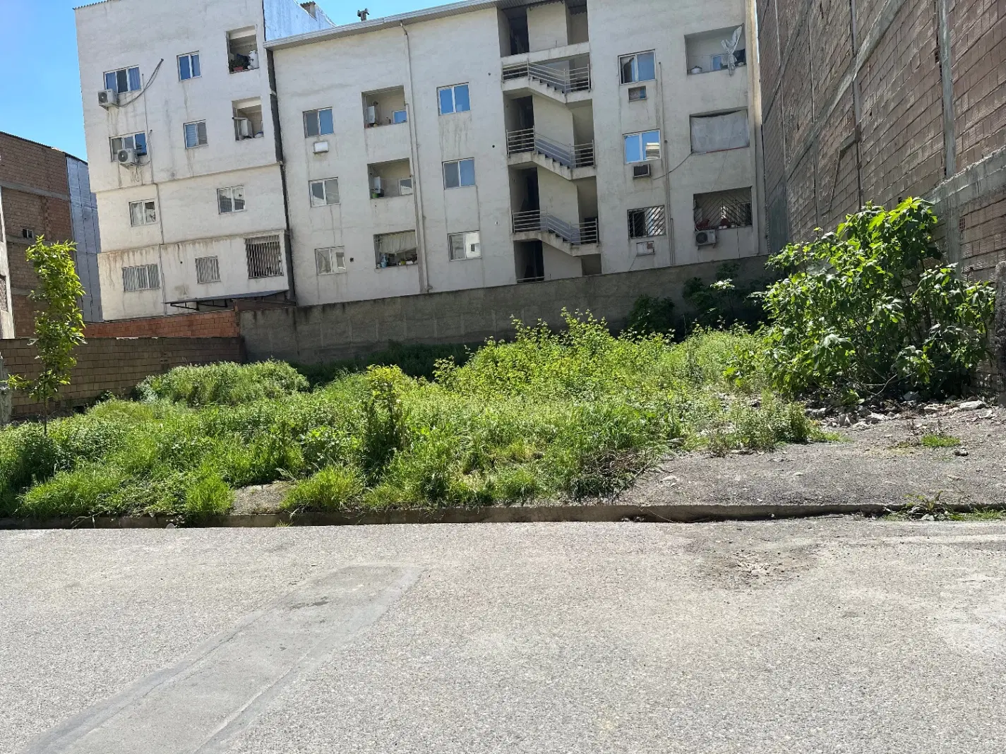 زمین در آرامش گرگان