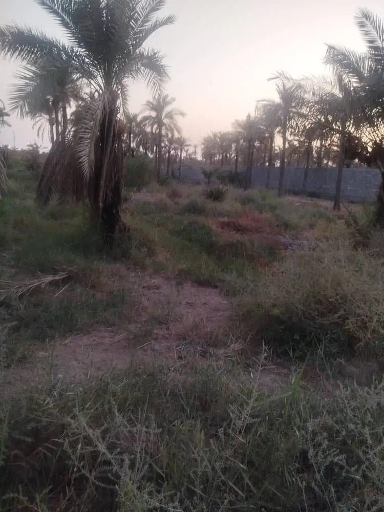 زمین تجاری