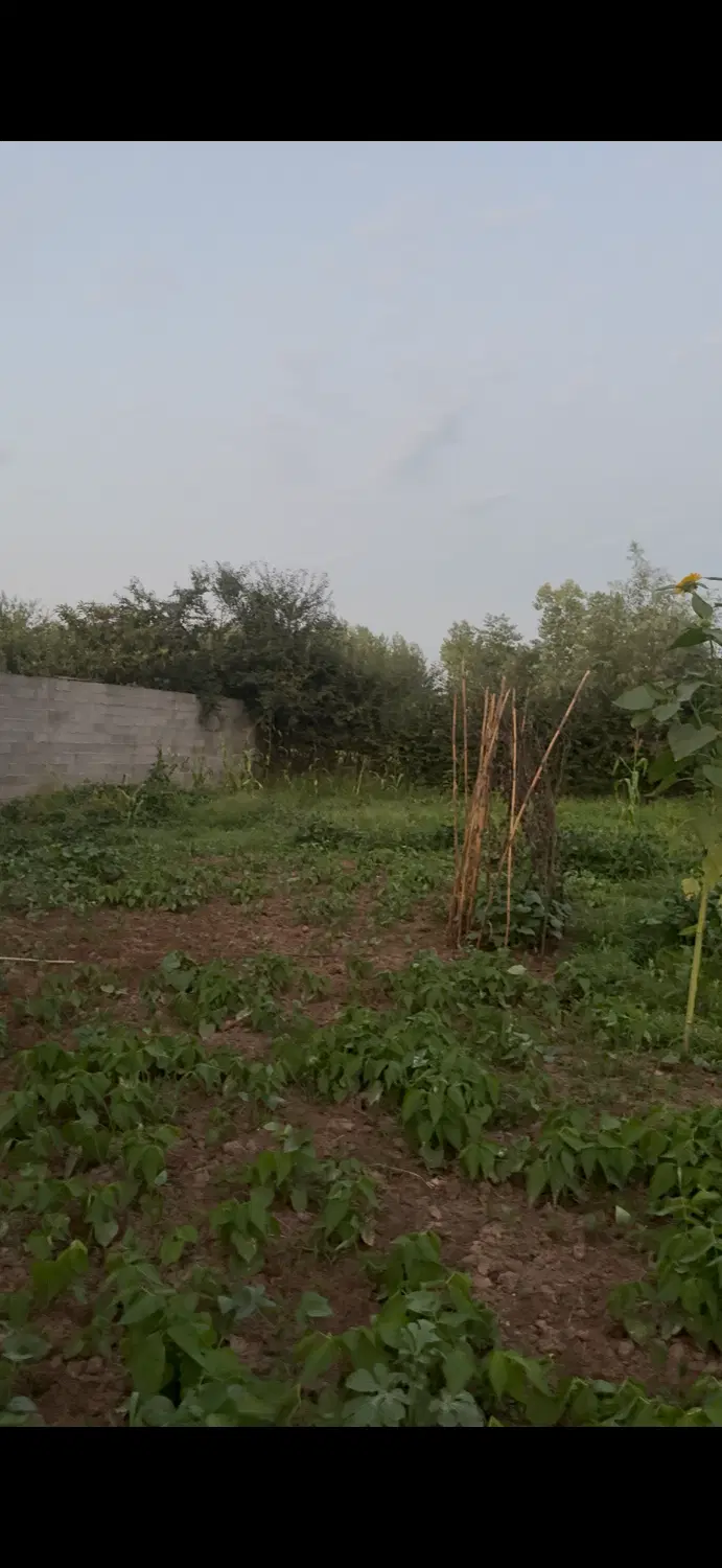 زمین فروشی