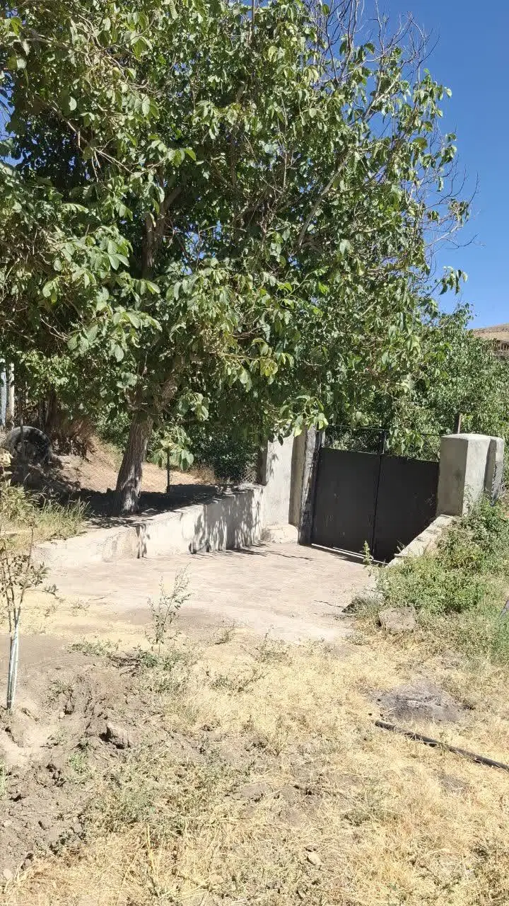 فروش باغ
