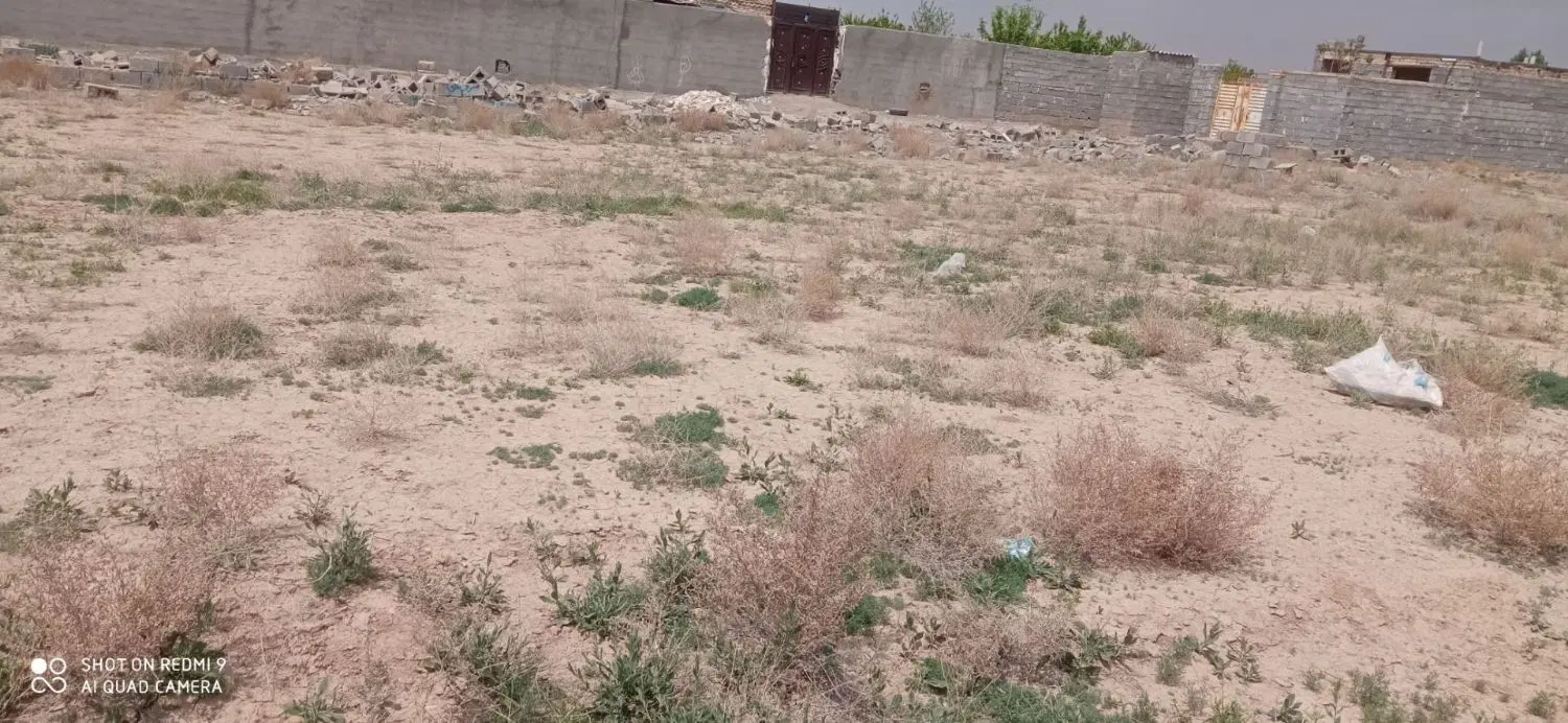 زمین فروشی درارامگاه فردوسی